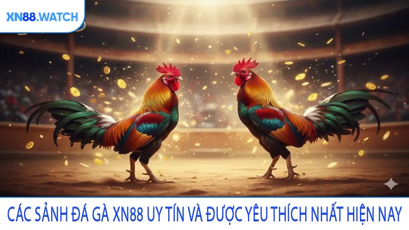 Các sảnh đá gà XN88 uy tín và được yêu thích nhất hiện nay