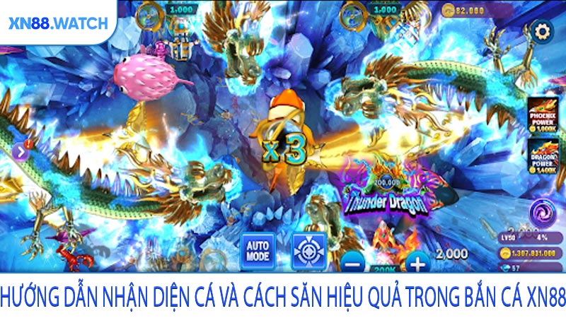 Hướng dẫn nhận diện cá và cách săn hiệu quả trong bắn cá XN88