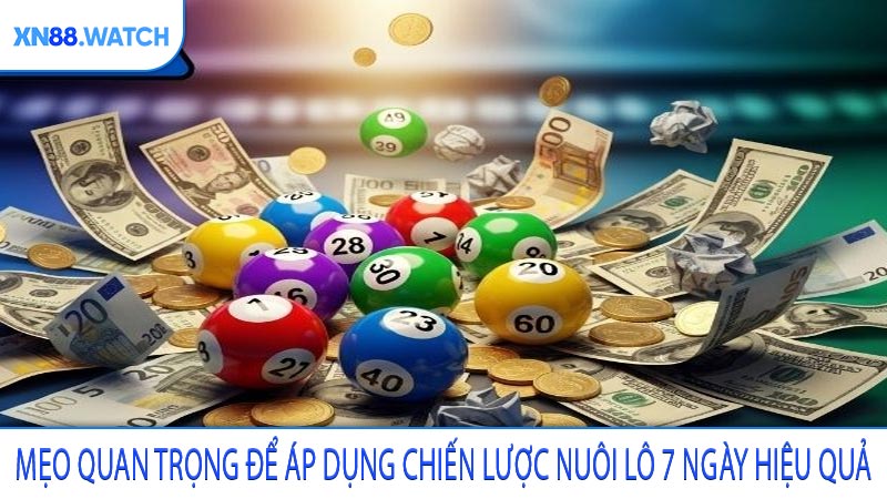 Mẹo quan trọng để áp dụng chiến lược nuôi lô 7 ngày hiệu quả