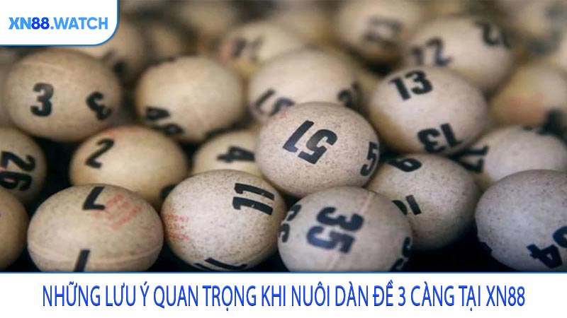 Những lưu ý quan trọng khi nuôi dàn đề 3 càng tại XN88