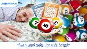 Tổng quan về chiến lược nuôi lô 7 ngày
